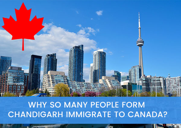 Why So Many People Form Chandigarh Immigrate to Canada