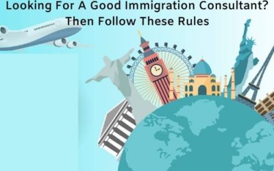 Looking For A Good Immigration Consultant? Then Follow These Rules